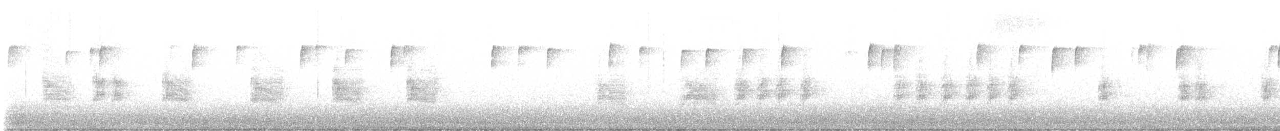 シロハラミソサザイ - ML644096977