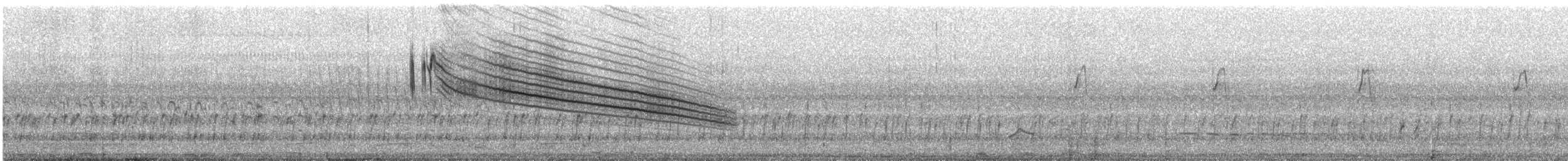 Yellowish Pipit - ML644099016