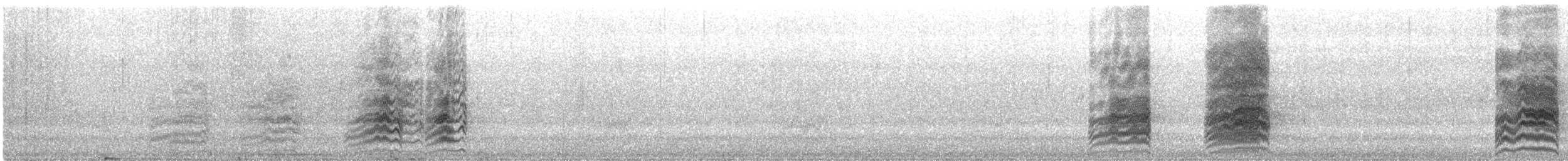 Yellow-collared Macaw - ML644099168