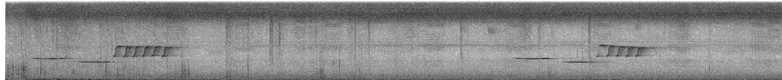 Cucarachero Dorsicastaño del Sur - ML644100038
