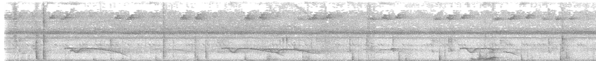 Great Eared-Nightjar - ML644102148