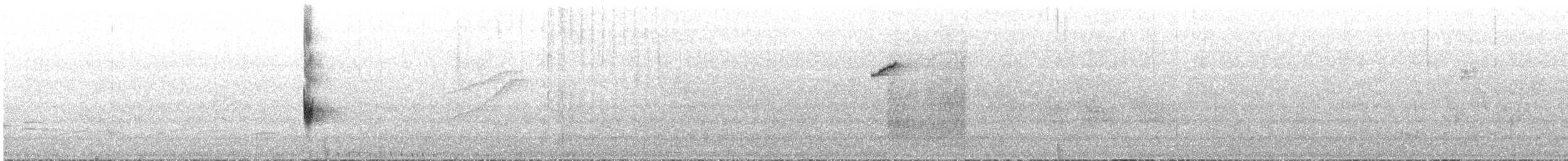 マミジロマネシツグミ - ML644102433