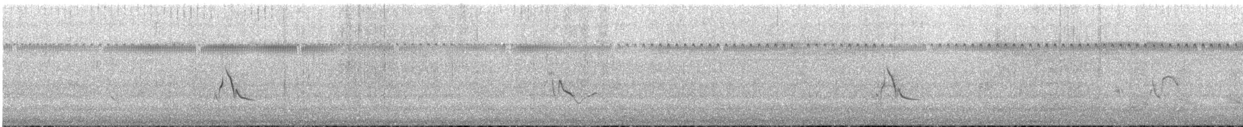 Wedge-tailed Grass-Finch - ML644102854