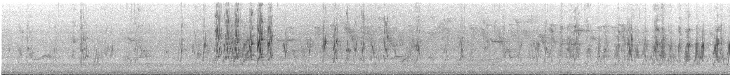 Cobalt-rumped Parrotlet - ML644103605