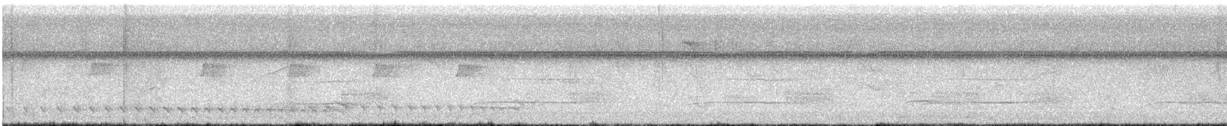 Bindenameisenwürger - ML644103875