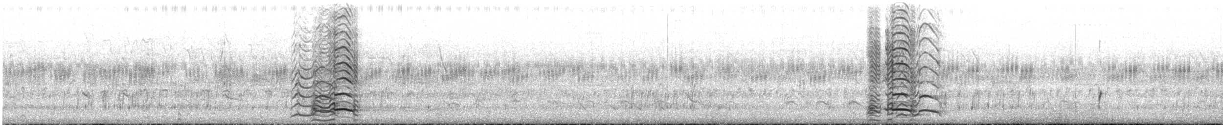 Southern Screamer - ML644103899