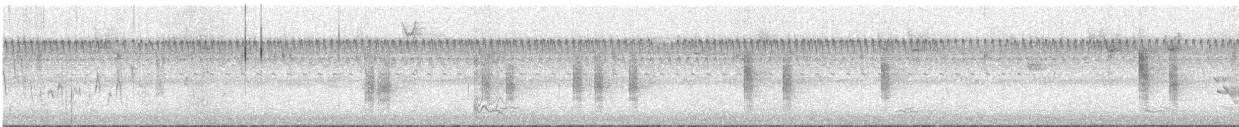 Northern House Wren - ML644105597
