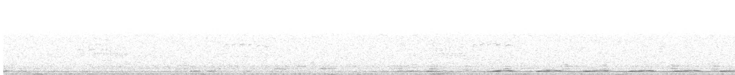 holoubek pikui - ML644106876
