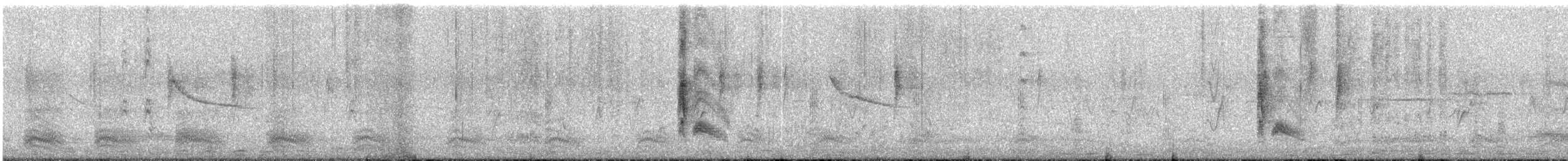 Cassin's Kingbird - ML644107979