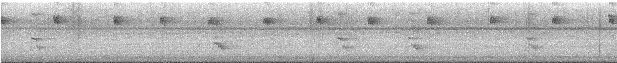 Boat-billed Flycatcher - ML644108217