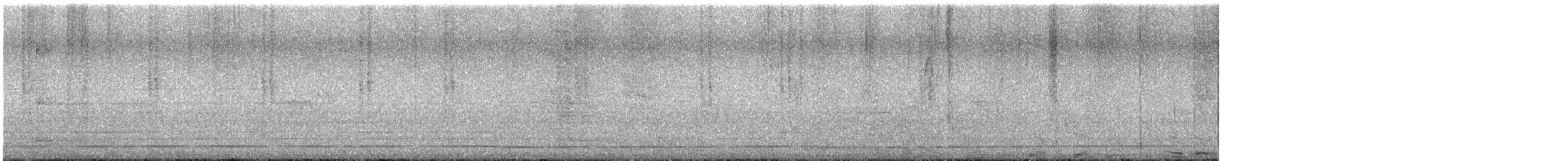 kolibřík širokozobý - ML644108231