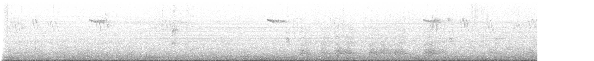 Brown Creeper - ML644108303