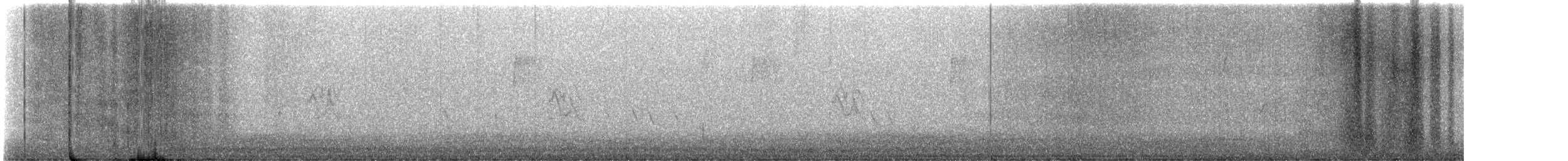 Pine Siskin - ML644108504