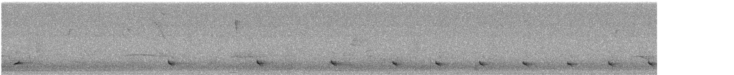 Black-striped Sparrow - ML644108622
