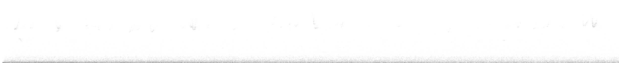 strnádka vrabcovitá - ML644109046