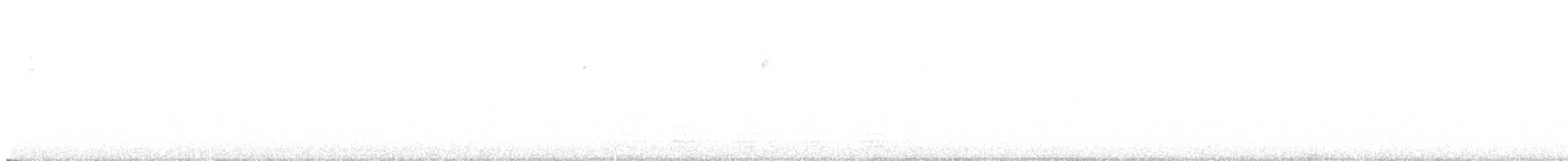 krkavec velký - ML644109069