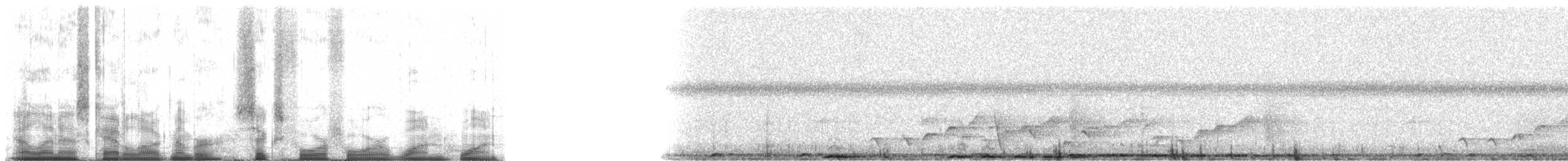 Fiji Streaked Fantail - ML64411