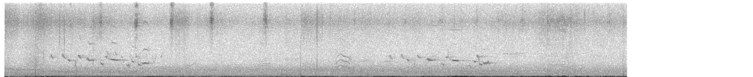 Scott's Oriole - ML644110114