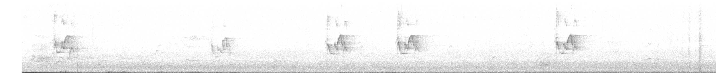 Schuppenlori - ML644110622