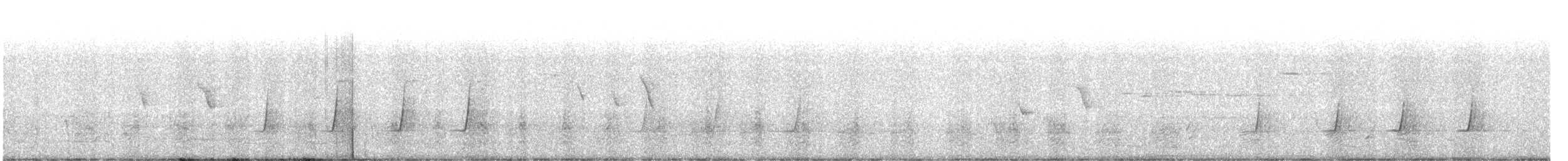 Peregrine Falcon (Australian) - ML644111036