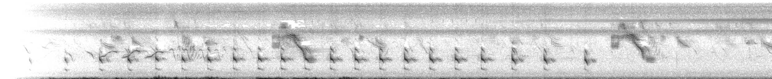 Paint-billed Crake - ML644111862