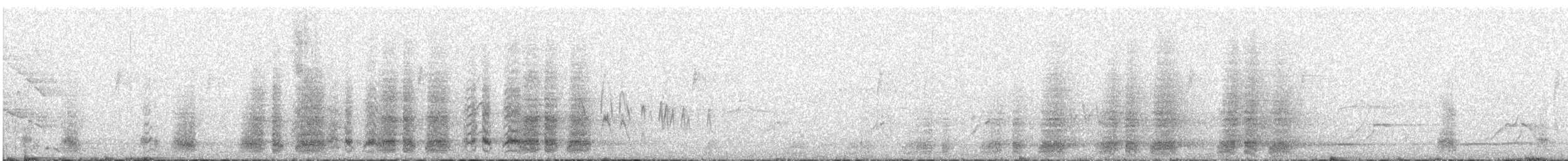 Speckled Chachalaca - ML644112060