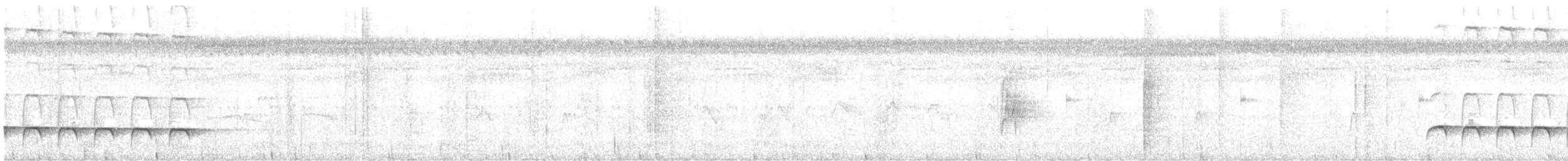Weißbinden-Ameisenvogel - ML644112361