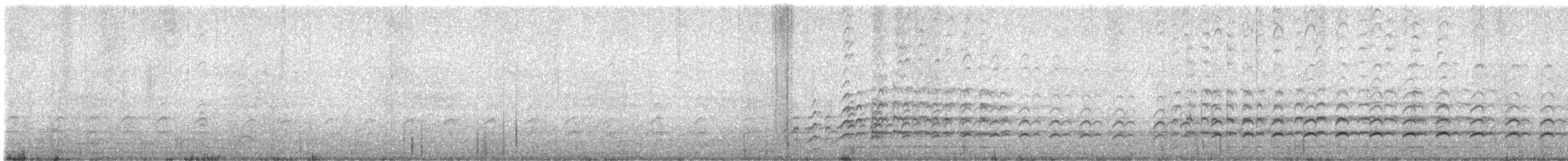 Peruvian Thick-knee - ML644114650