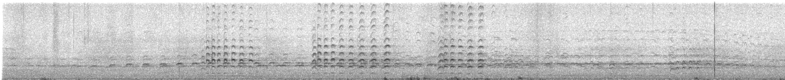 Peruvian Thick-knee - ML644114746