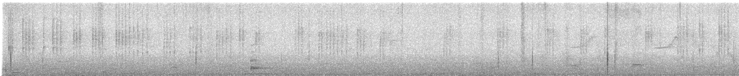 Amazilia Hummingbird - ML644114890