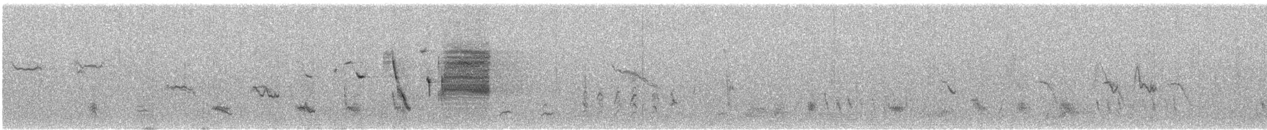 Шпаркос короткохвостий - ML644114963