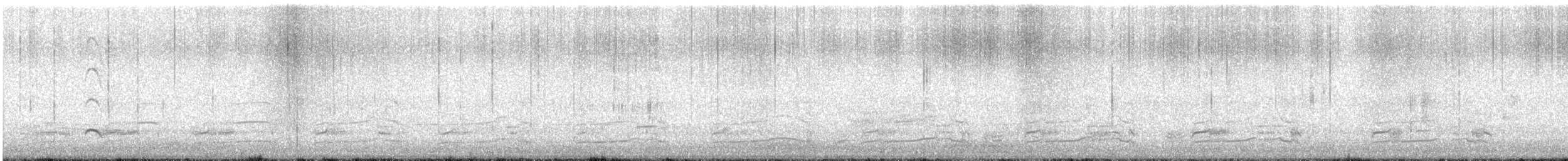 Bonaparte's Gull - ML644114979