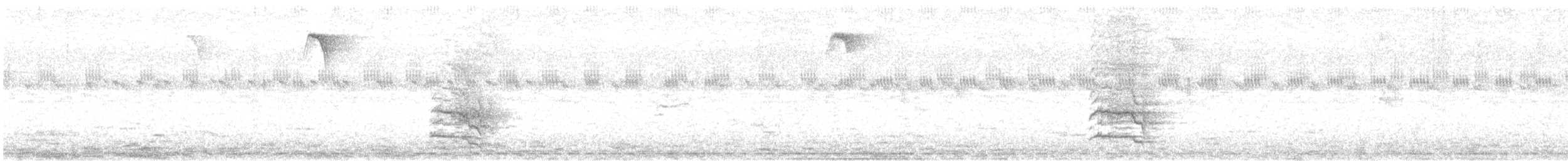 Chara Cerúlea - ML644115498