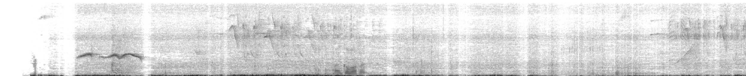 Stripe-backed Antbird - ML644116911