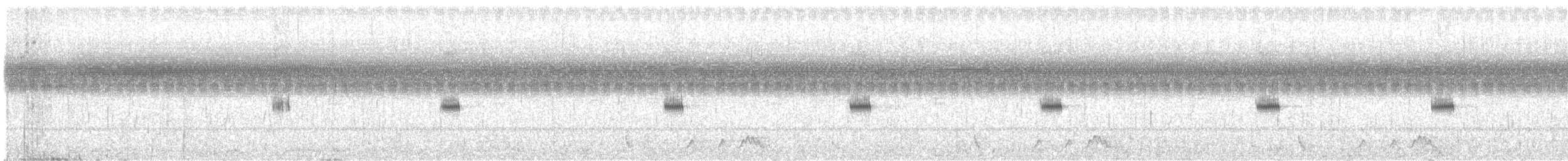 アカヨタカ - ML644116976