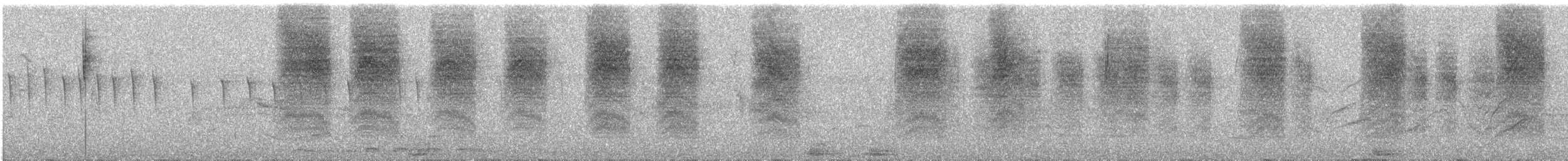 Troglodyte de Bewick - ML644117238
