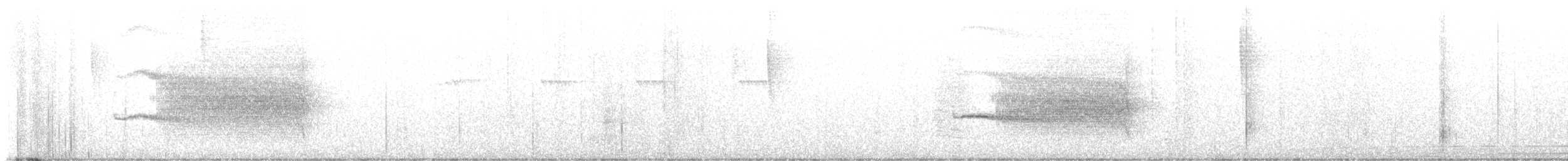 Alapi grivelé - ML644117335