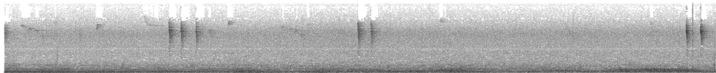 Pacific Wren - ML644117519