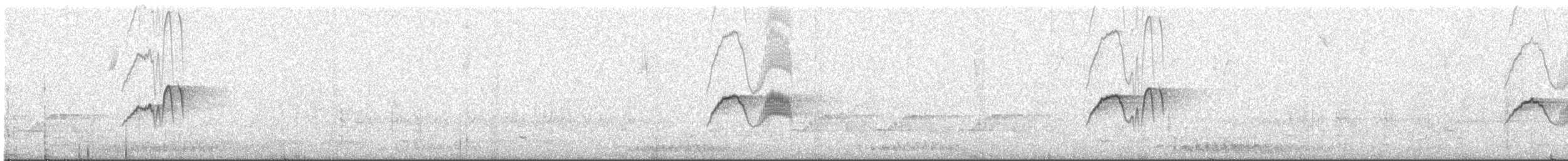 Eastern Phoebe - ML644117866