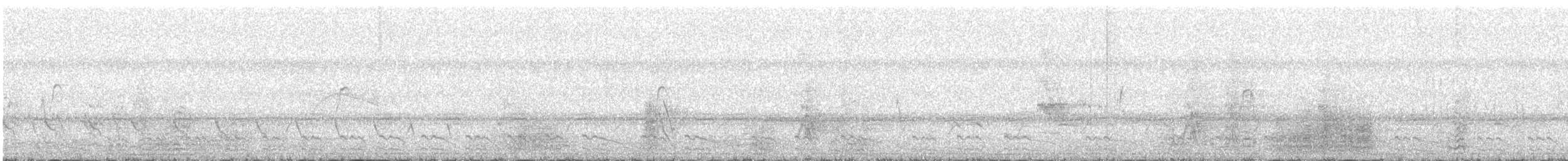 Ash-throated Crake - ML644118311