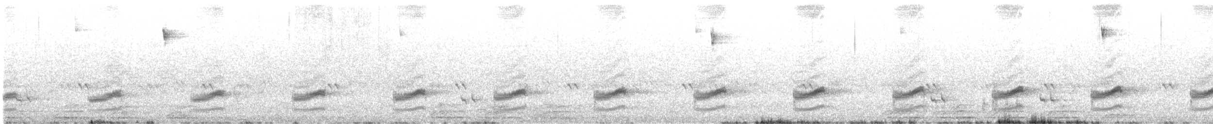 Dusky Tapaculo - ML644119200