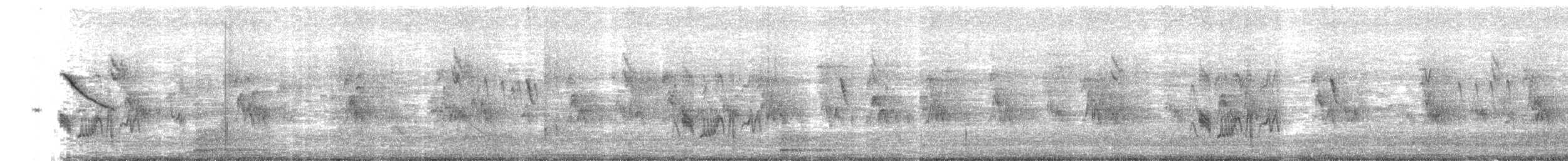 Large Elaenia - ML644121504