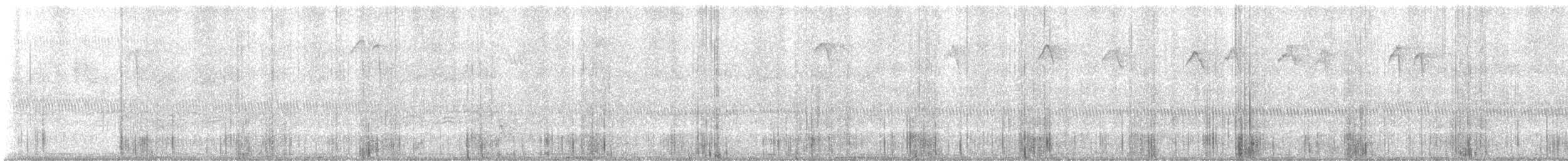 Barred Owl - ML644121516