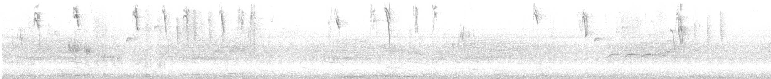 Bananaquit - ML644122046