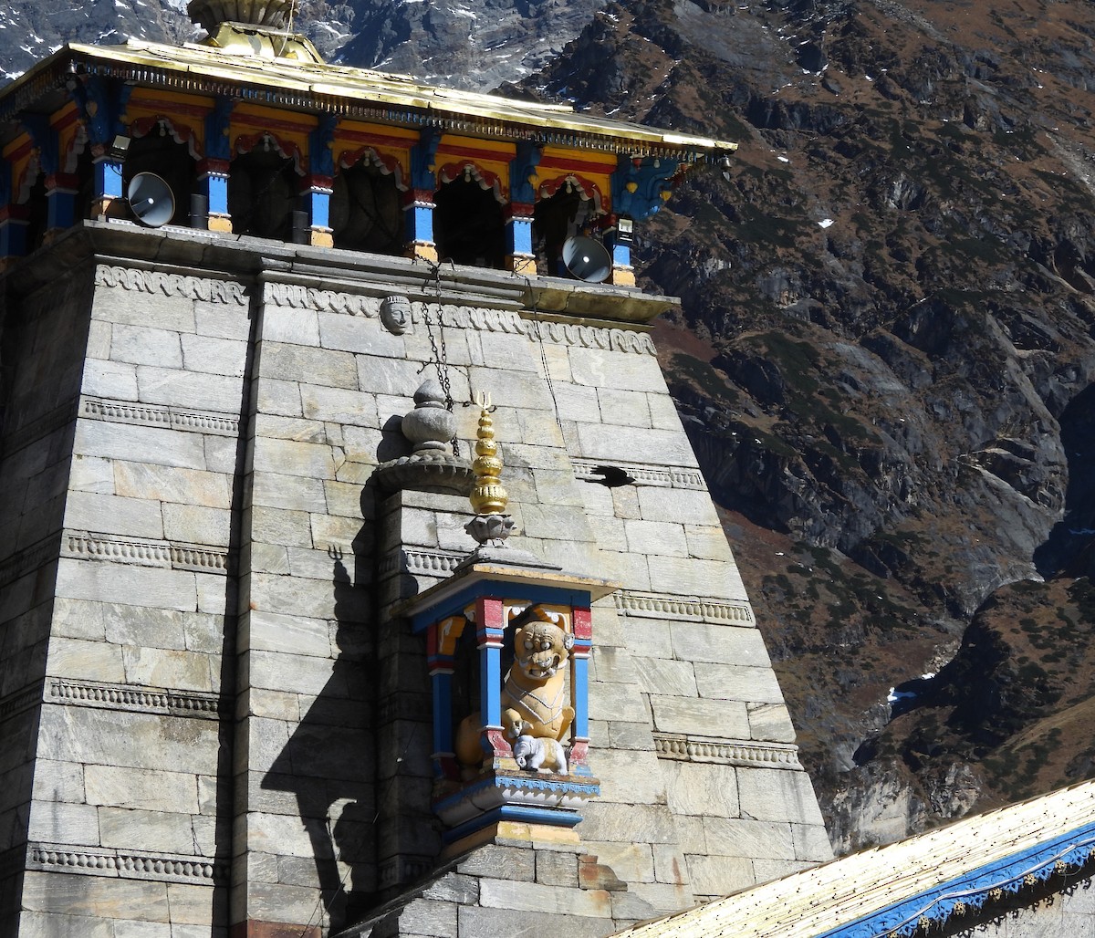 キバシガラス - ML644123201