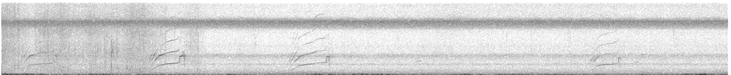 glattnebbani - ML644123347