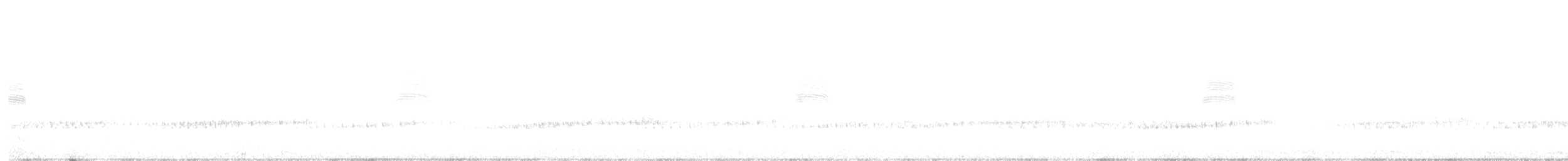 Bécasse d'Amérique - ML644124127