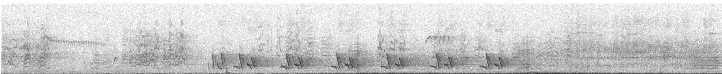 Plain Tyrannulet - ML644125045