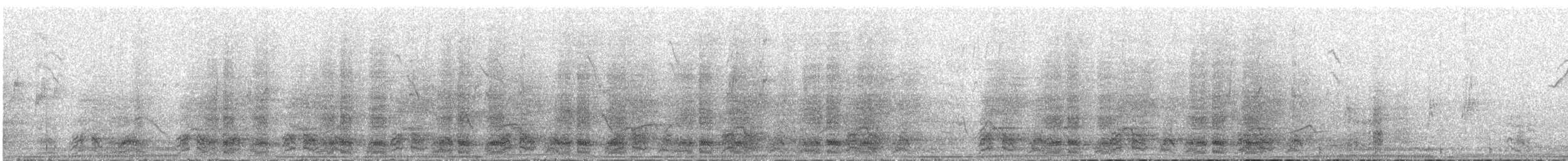 Speckled Chachalaca - ML644125121