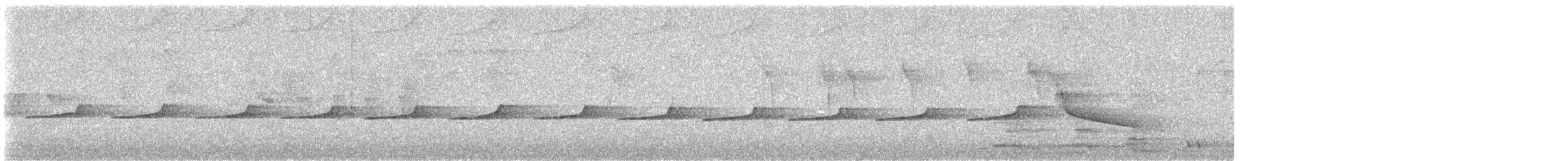 kukačka blýskavá - ML644125360